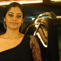 Bindhu Madhavi Hot Photo Shoot Pictures | Picture 93499